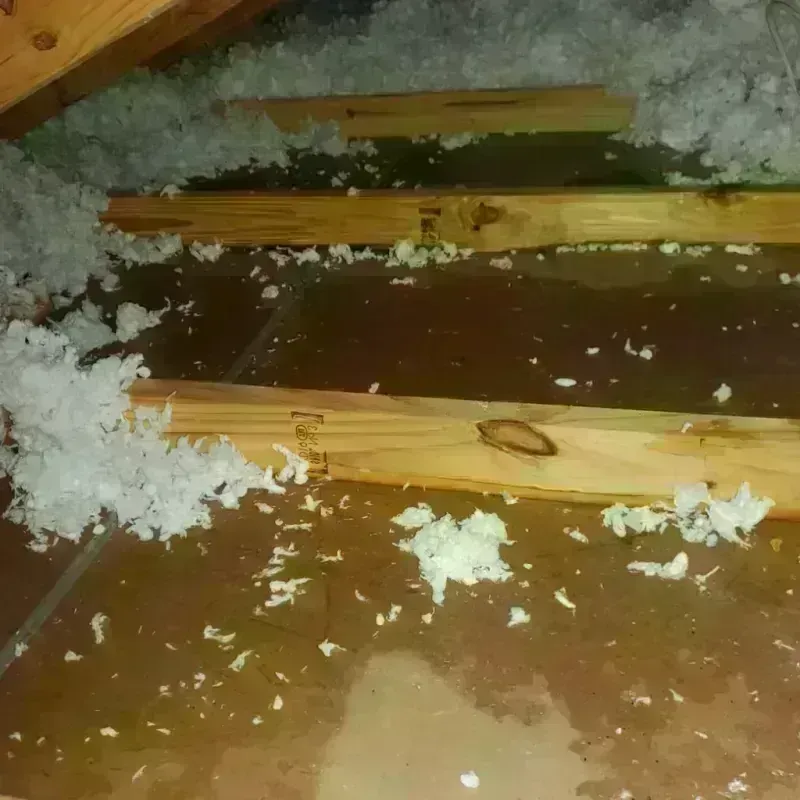 Attic Water Damage in City and County of San Francisco, CA