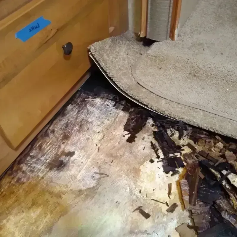 Wood Floor Water Damage in City and County of San Francisco, CA